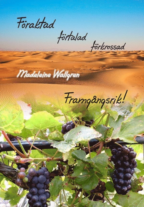 Madeleine Wallgren - Föraktad, förtalad, förkrossad - Framgångsrik!, Häftad