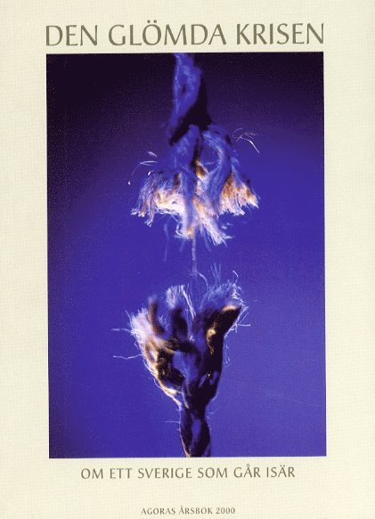 Den glömda krisen - Om ett Sverige som går isär