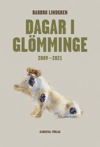bokomslag Dagar i Glömminge 2009-2021