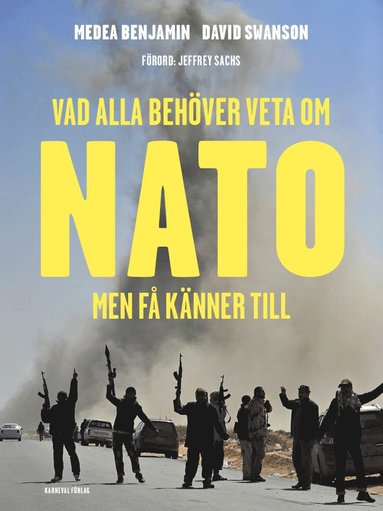 bokomslag Vad alla behöver veta om Nato men få känner till