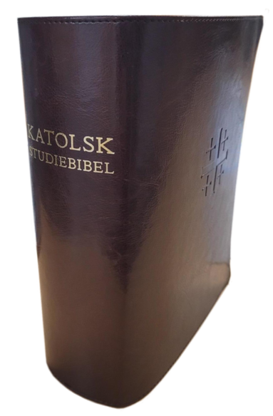 bokomslag Katolsk studiebibel : Bibel 2000 med katolska kommentarer