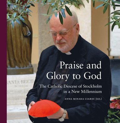 bokomslag Praise and glory to God : the catholic diocese of Stockholm in a new millenium