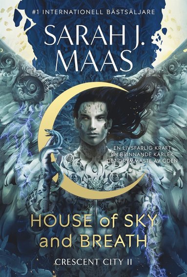 bokomslag House of Sky and Breath (Svensk utgåva)