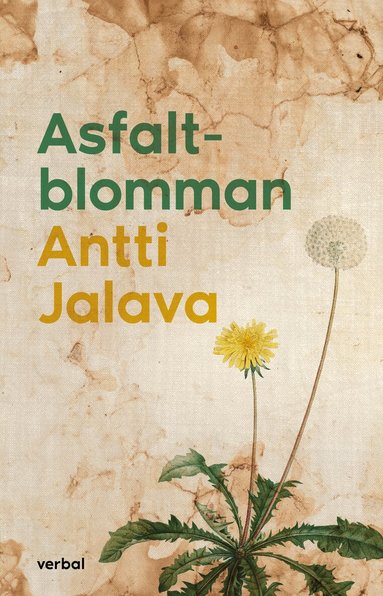 Antti Jalava - Asfaltblomman, Inbunden