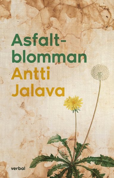 bokomslag Asfaltblomman