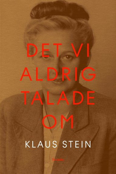 bokomslag Det vi aldrig talade om