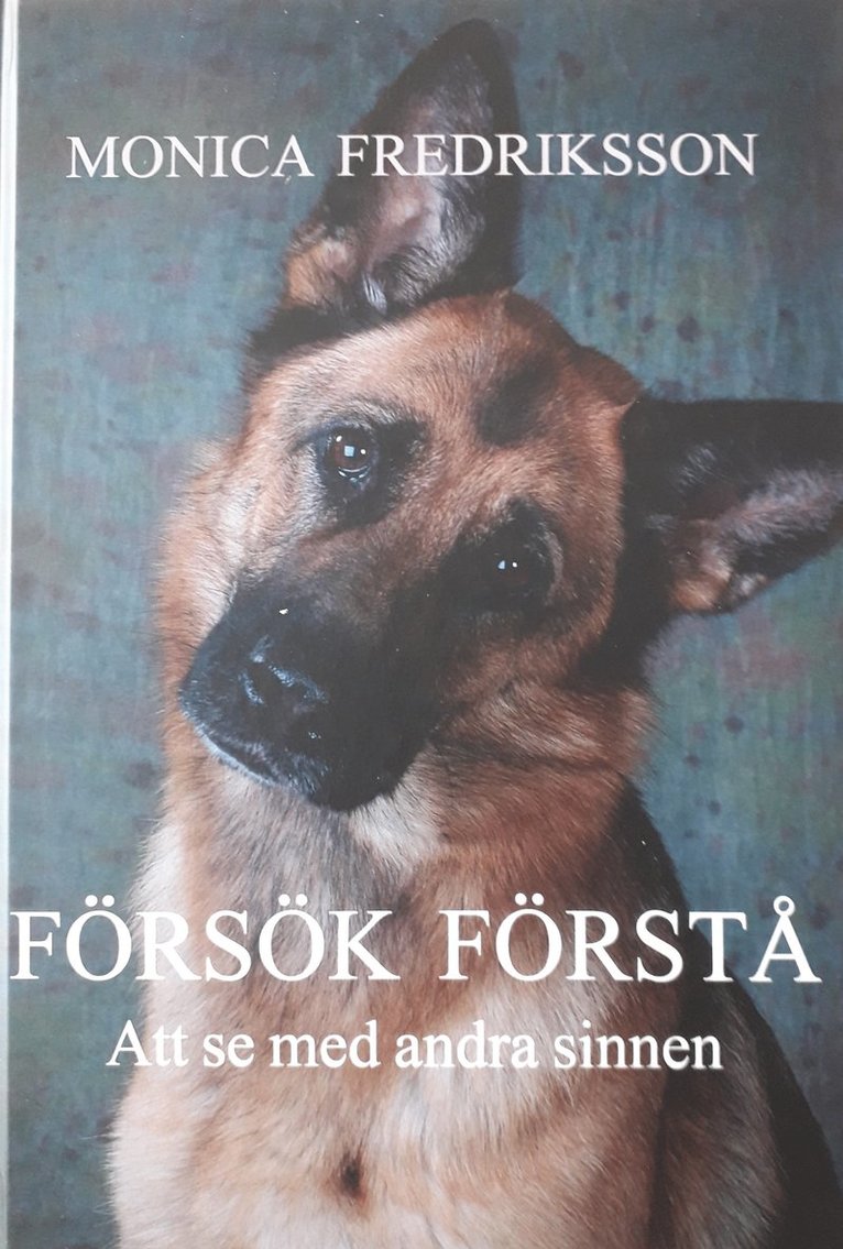 Monica Fredriksson - Försök förstå : att se med andra sinnen, Inbunden