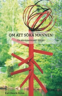 bokomslag Om att söka mannen