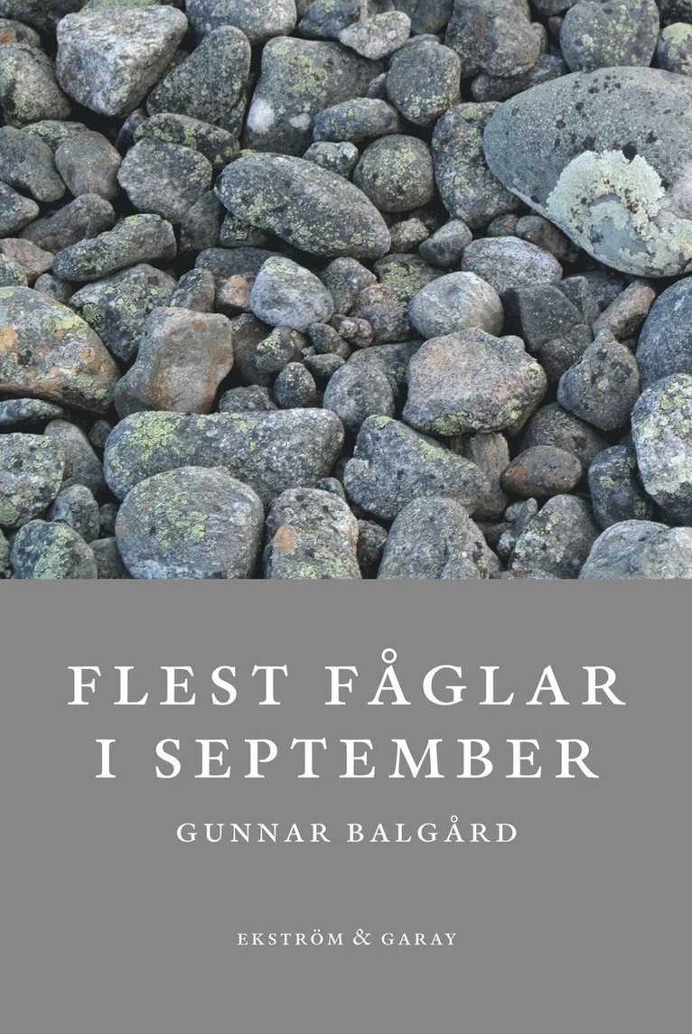 Gunnar Balgård - Flest fåglar i september, Häftad
