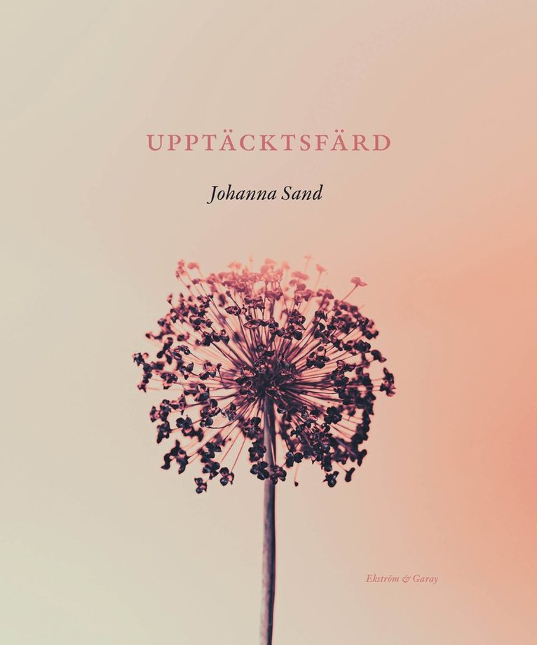 Johanna Sand - Upptäcktsfärd, Inbunden