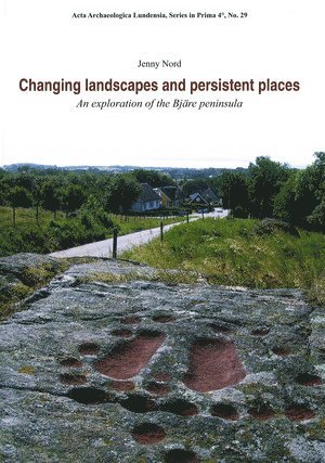 bokomslag Changing Landscapes and Persistent Places