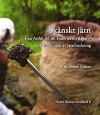 bokomslag Skånskt järn