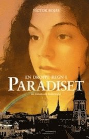 En droppe regn i Paradiset : en roman om hedersvåld 1