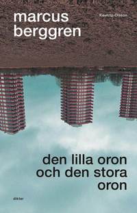 bokomslag Den lilla oron och den stora oron