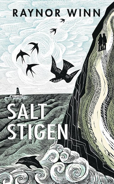 bokomslag Saltstigen