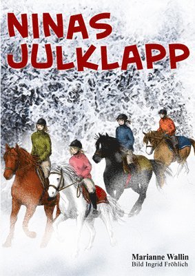 bokomslag Ninas julklapp