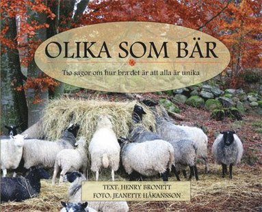 bokomslag Olika som bär