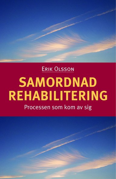 Erik Olsson - Samordnad rehabilitering : processen som kom av sig, Kartonnage