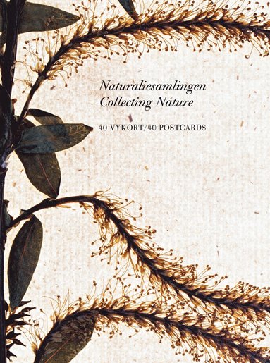 bokomslag Naturaliesamlingen - vykortslåda