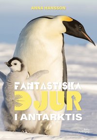 bokomslag Fantastiska djur i Antarktis