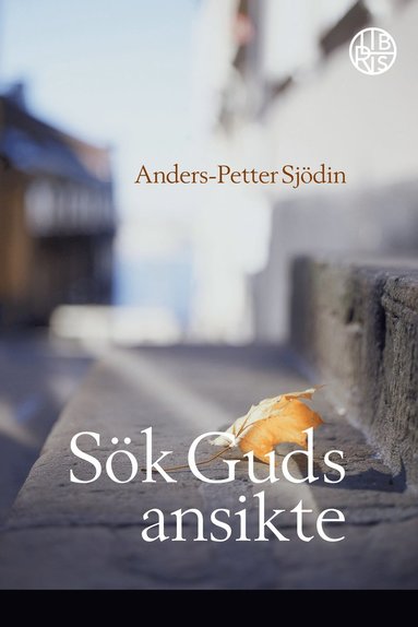 bokomslag Sök Guds ansikte