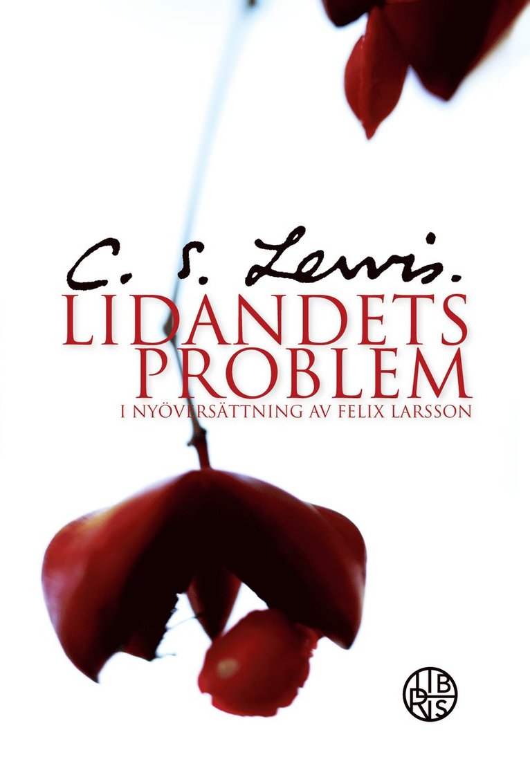 Lidandets problem 1