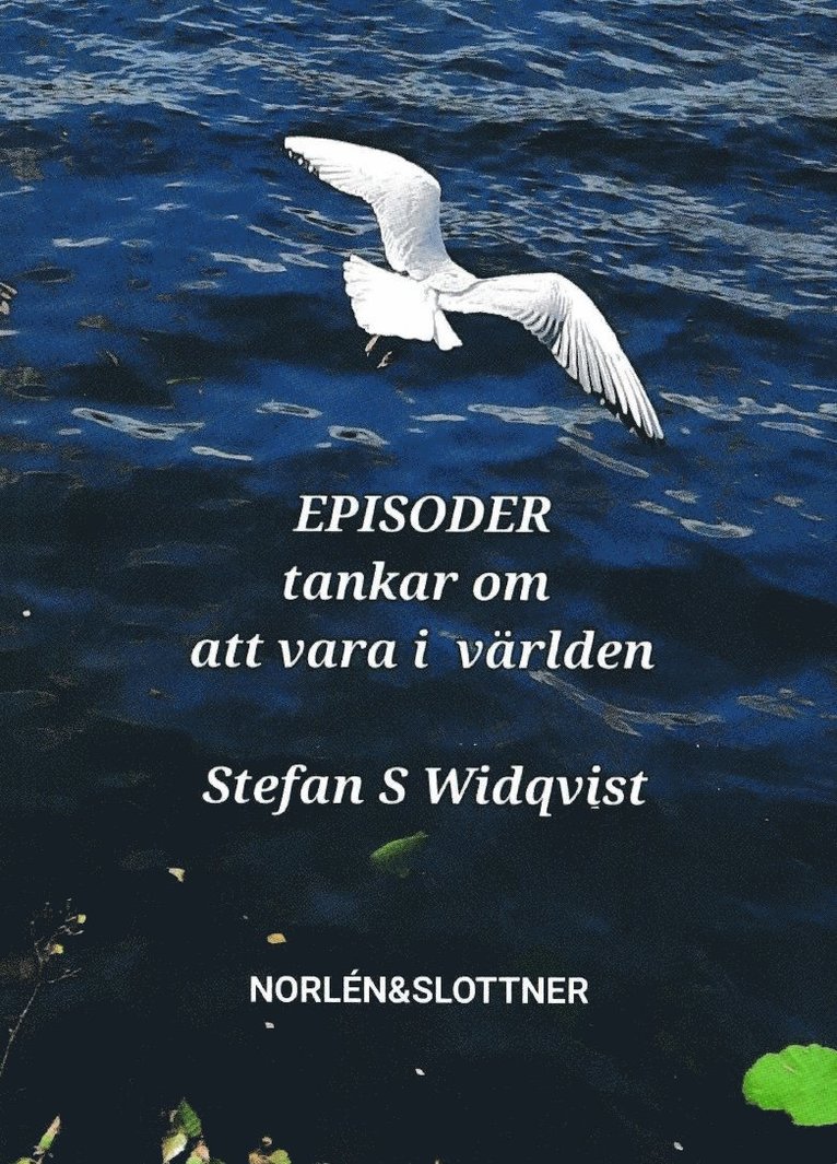 Episoder : tankar om att vara i världen 1