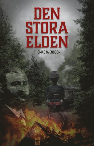 bokomslag Den stora elden