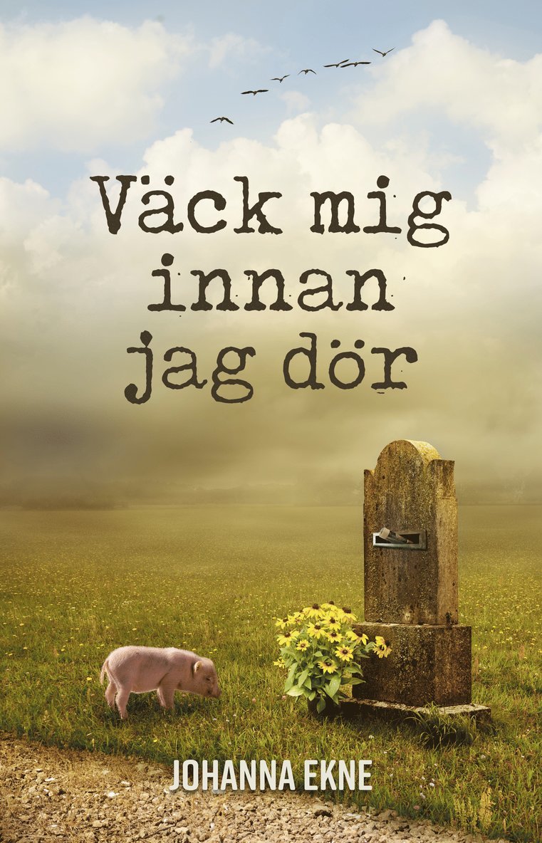 Johanna Ekne - Väck mig innan jag dör, Häftad
