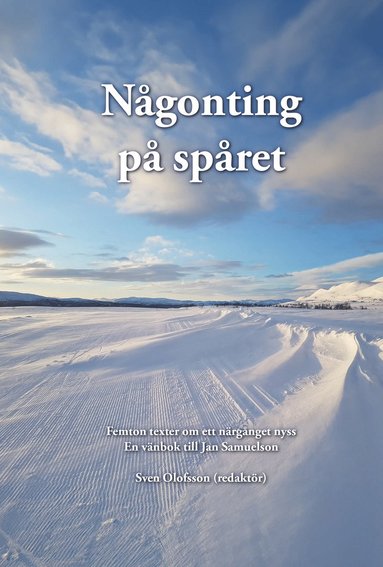 bokomslag Någonting på spåret