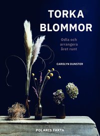 bokomslag Torka blommor : odla och arrangera året runt