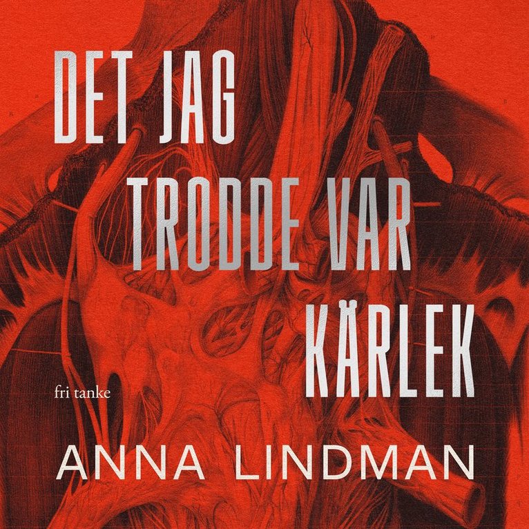 Det jag trodde var kärlek : En bok en om psykiskt våld 1