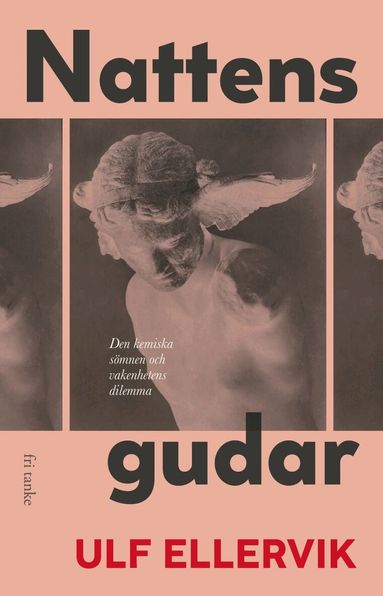 Ulf Ellervik - Nattens gudar : den kemiska sömnen och vakenhetens dilemma, Inbunden