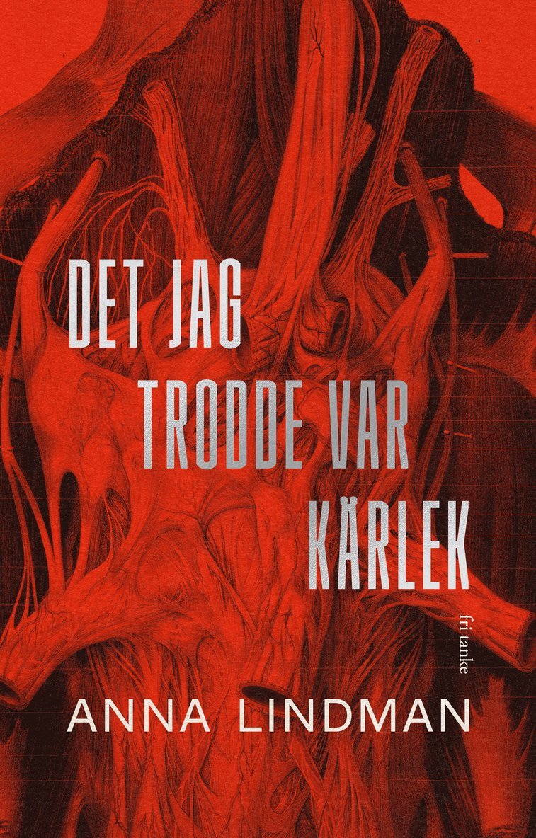 Det jag trodde var kärlek : En bok en om psykiskt våld 1