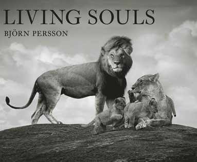 bokomslag Living souls