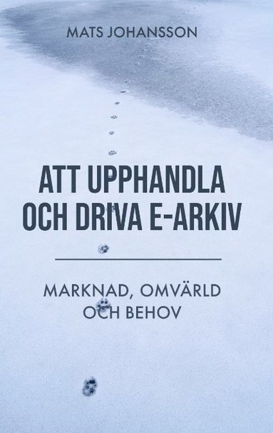 bokomslag Att upphandla och driva e-arkiv : marknad, omvärld och behov