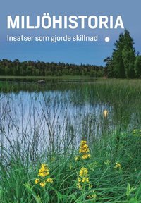 bokomslag Miljöhistoria : insatser som gjorde skillnad