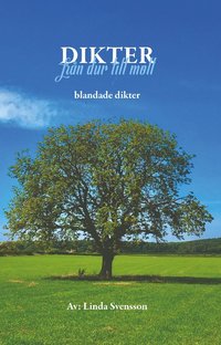 bokomslag Dikter : från dur till moll - blandade dikter