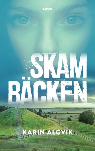 bokomslag Skambäcken