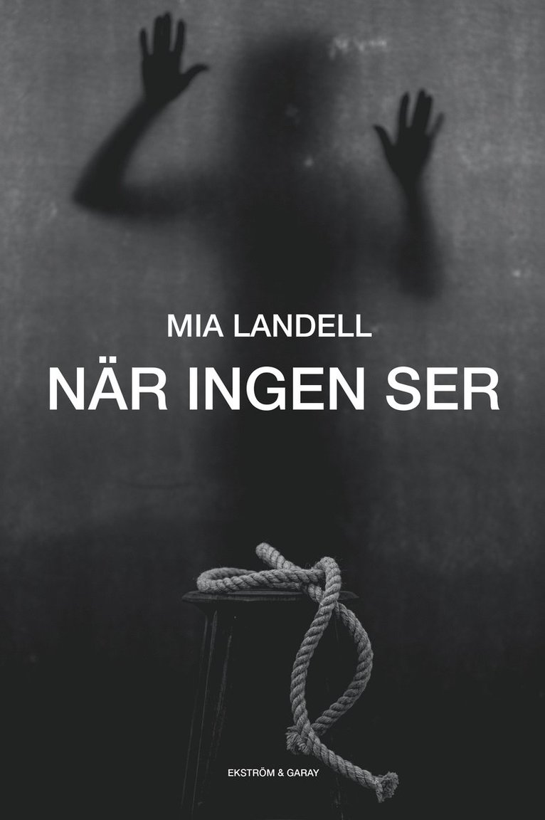 Mia Landell - När ingen ser, Inbunden