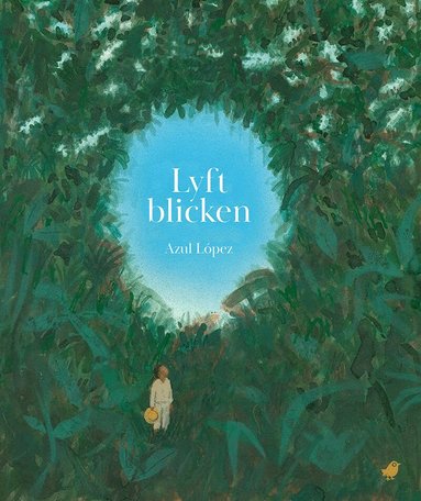 Azul López - Lyft blicken, Kartonnage