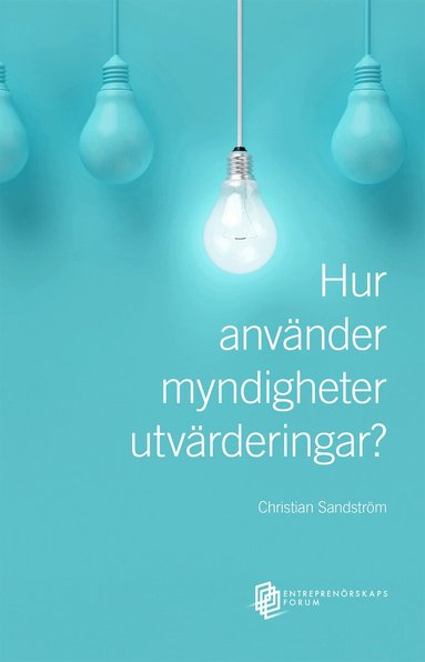 Christian Sandström - Hur använder myndigheter utvärderingar? En studie av årsredovisningar från Vinnova, Energimyndigheten och Tillväxtverket, Häftad