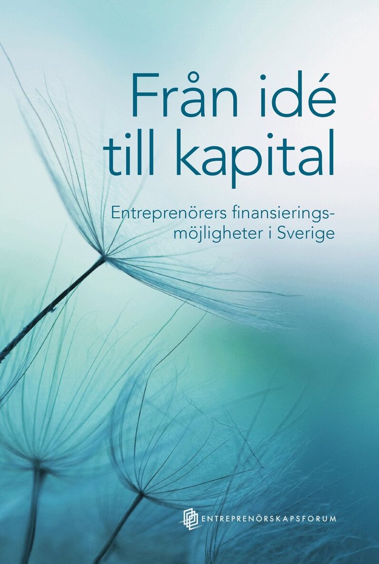 Från idé till kapital : entreprenörers finansieringsmöjligheter i Sverige, Inbunden