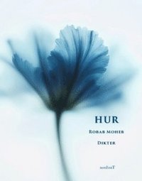 bokomslag Hur