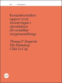 bokomslag Konjunkturrådets rapport 2025: Investeringar i elproduktion