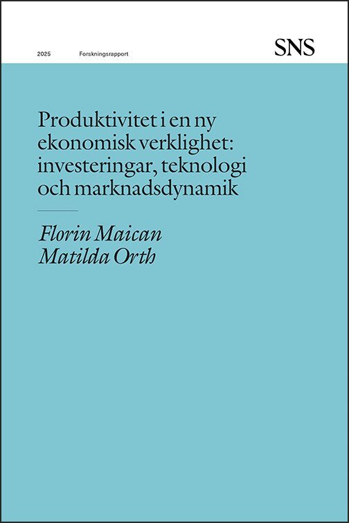 Florin Maican, Matilda Orth - Produktivitet i en ny ekonomisk verklighet, Häftad