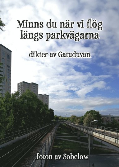 bokomslag Minns du när vi flög längs parkvägarna