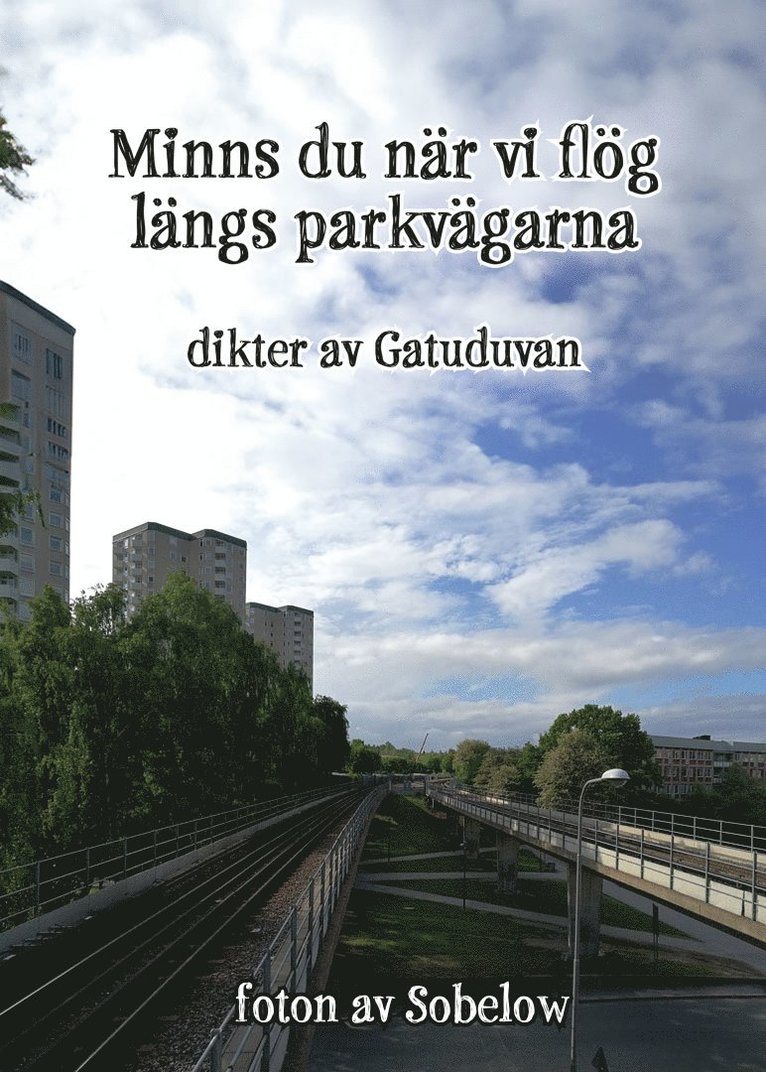 Minns du när vi flög längs parkvägarna 1