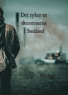 bokomslag Det ryker ur skorstenarna i Småland