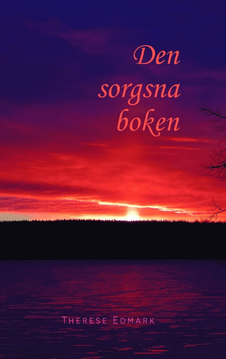 Den sorgsna boken 1